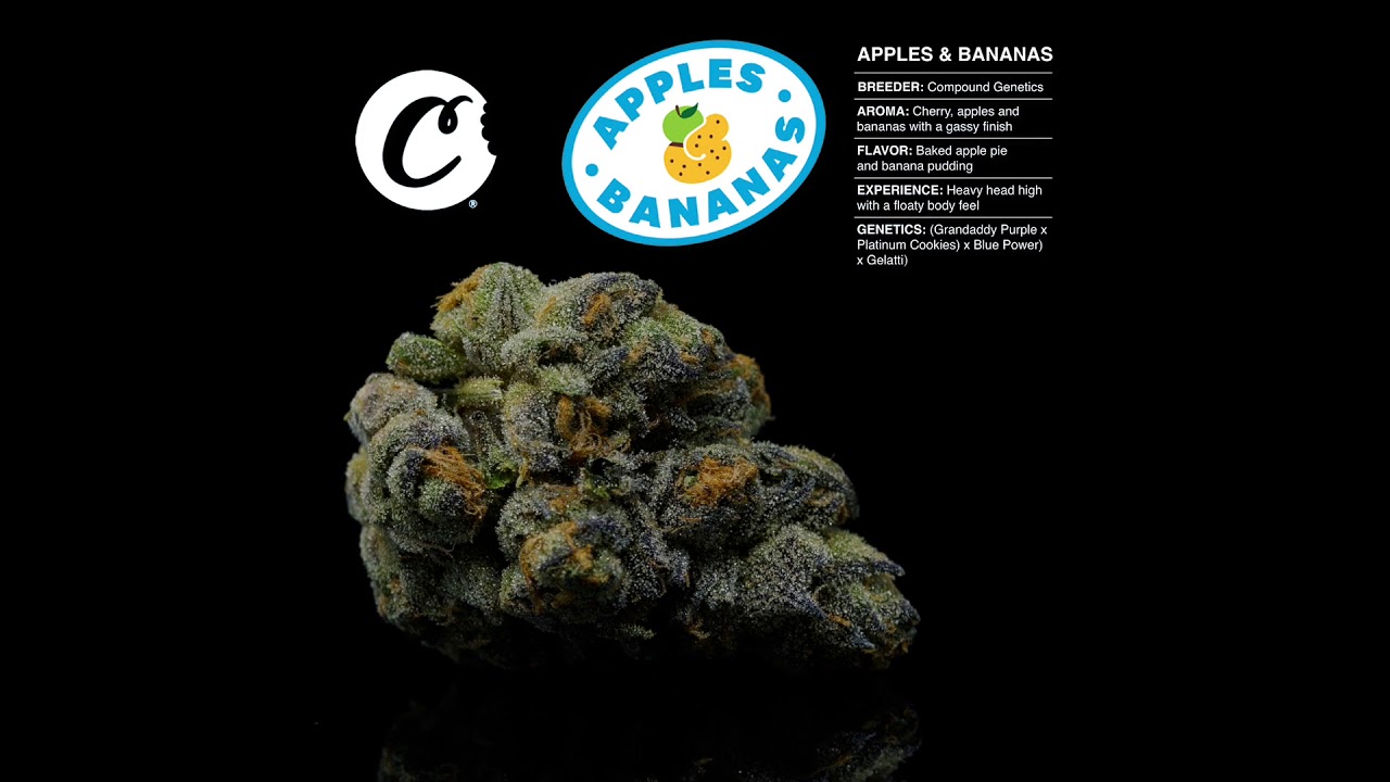 Apples & Bananas Strain Highlight