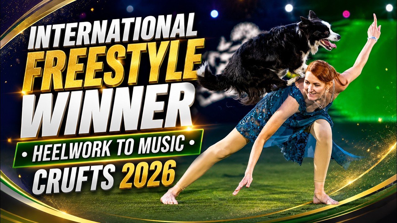 Crufts 2026 | International Freestyle Heelwork To Music Winner - Anastasiia Beaumont and Salsa