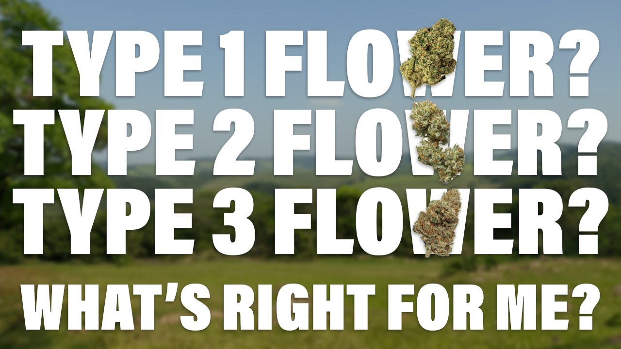 THCA flower, CBD Flower, Both?
