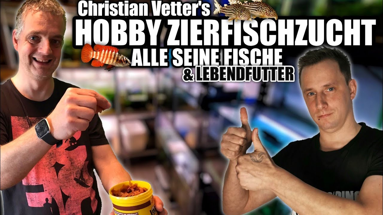 Hobby Zierfischzüchter zeigt uns alle seine Fische und Lebendfutter