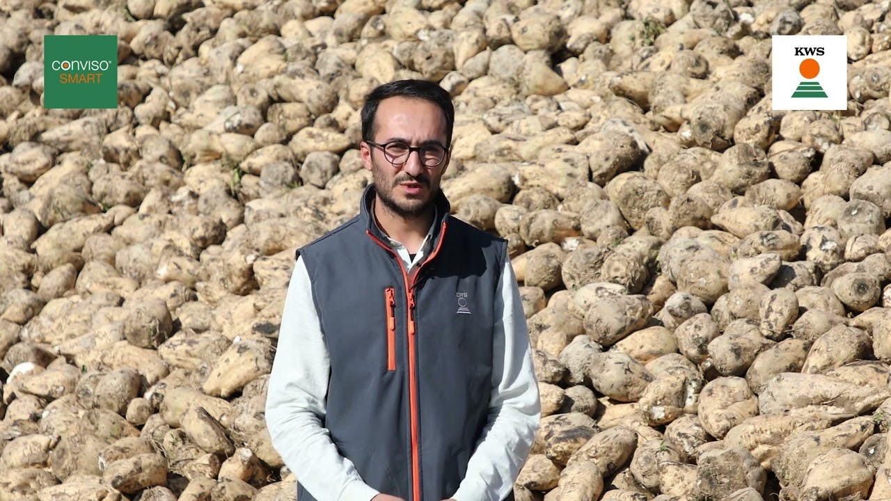 Yunus Emre KÖKDERE, SMART DEONİLA KWS çeşidi ile ilgili deneyimini bizlerle paylaşıyor.