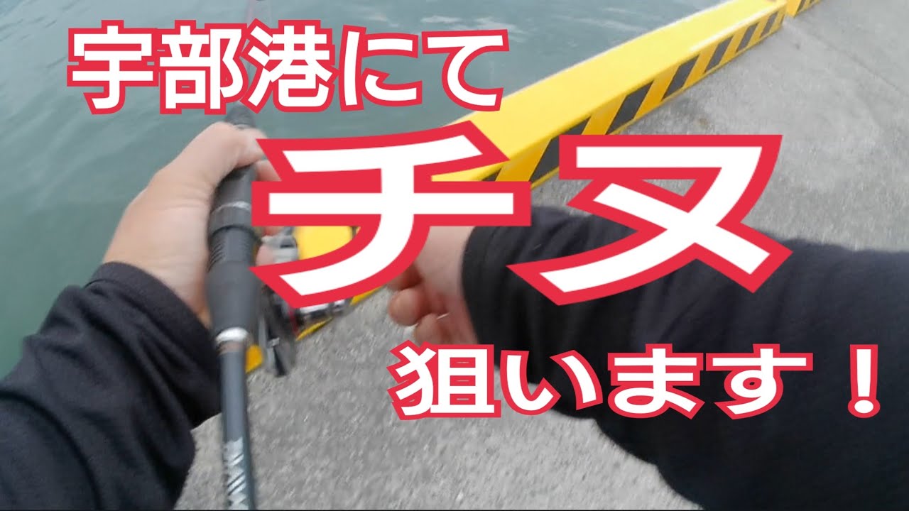 【山口県宇部市】宇部港にてチヌ狙います