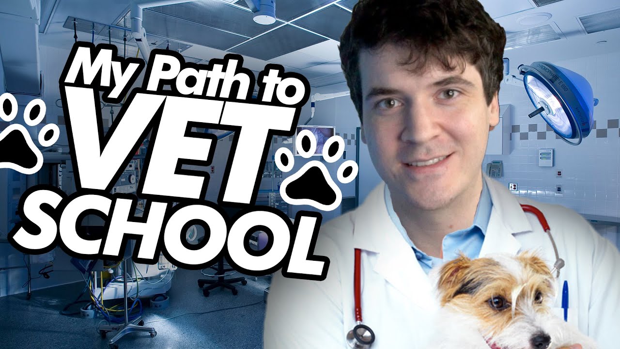 How I Got Into VET SCHOOL + ADVICE