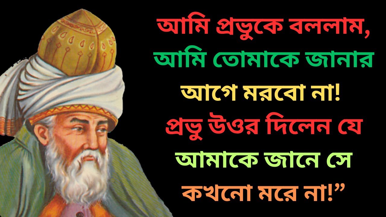 মাওলানা জালাল উদ্দিন মুহাম্মদ  রুমি (রহঃ) এর ১০০ টি বাছাইকৃত উক্তি/ বানী! Jalal Uddin Rumi..........