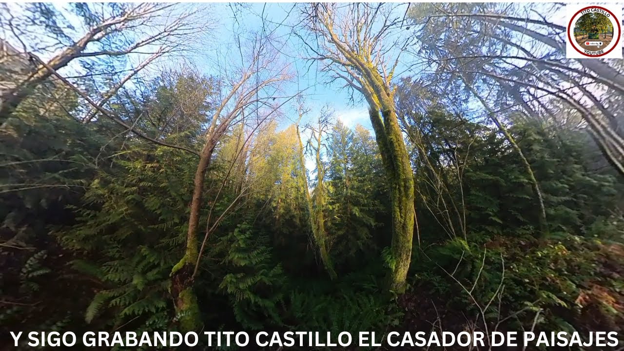 Y SIGO GRABANDO ESTA QUEBRADA  TITO CASTILLO EL CASADOR DE PAISAJES