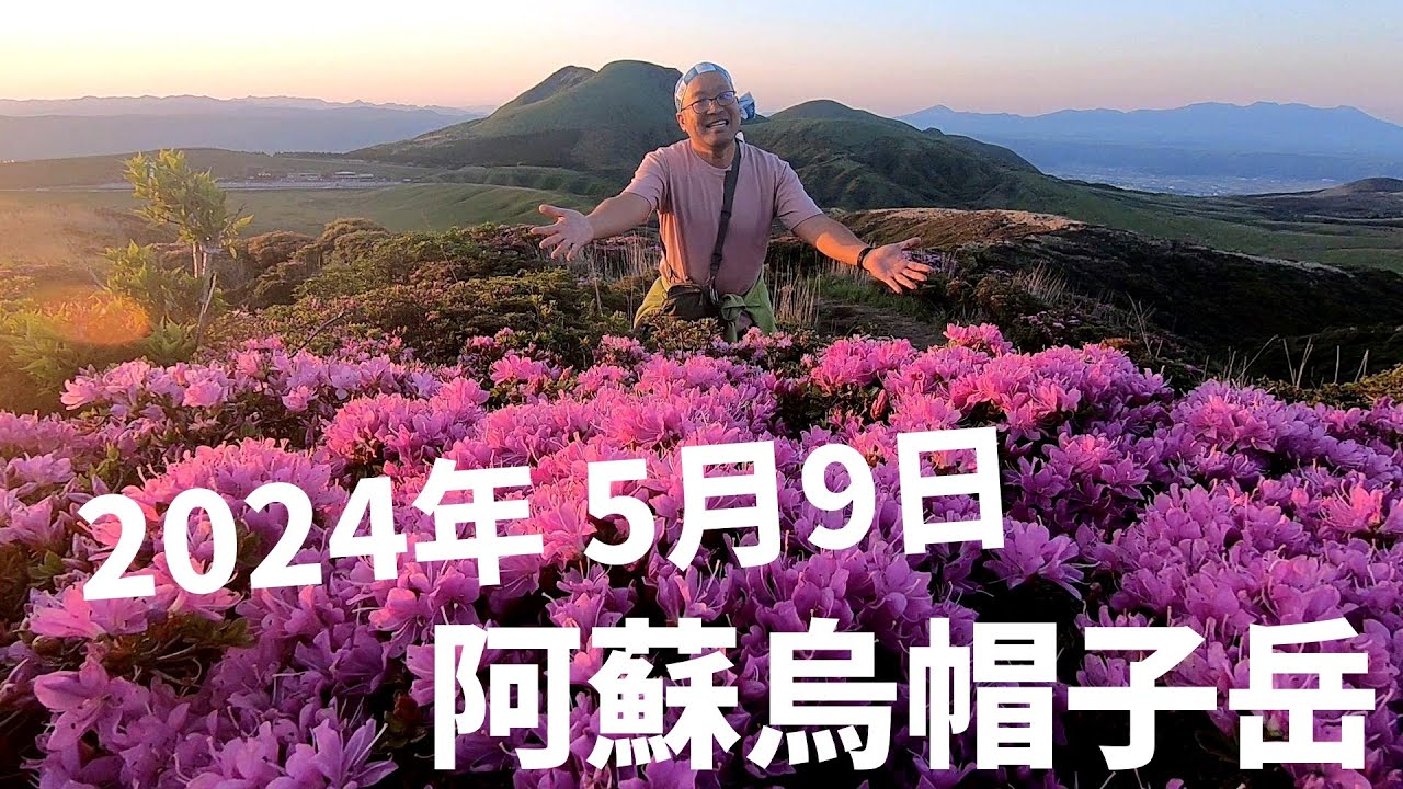 【阿蘇烏帽子岳】今年もミヤマキリシマ期待大【2024年5月9日】