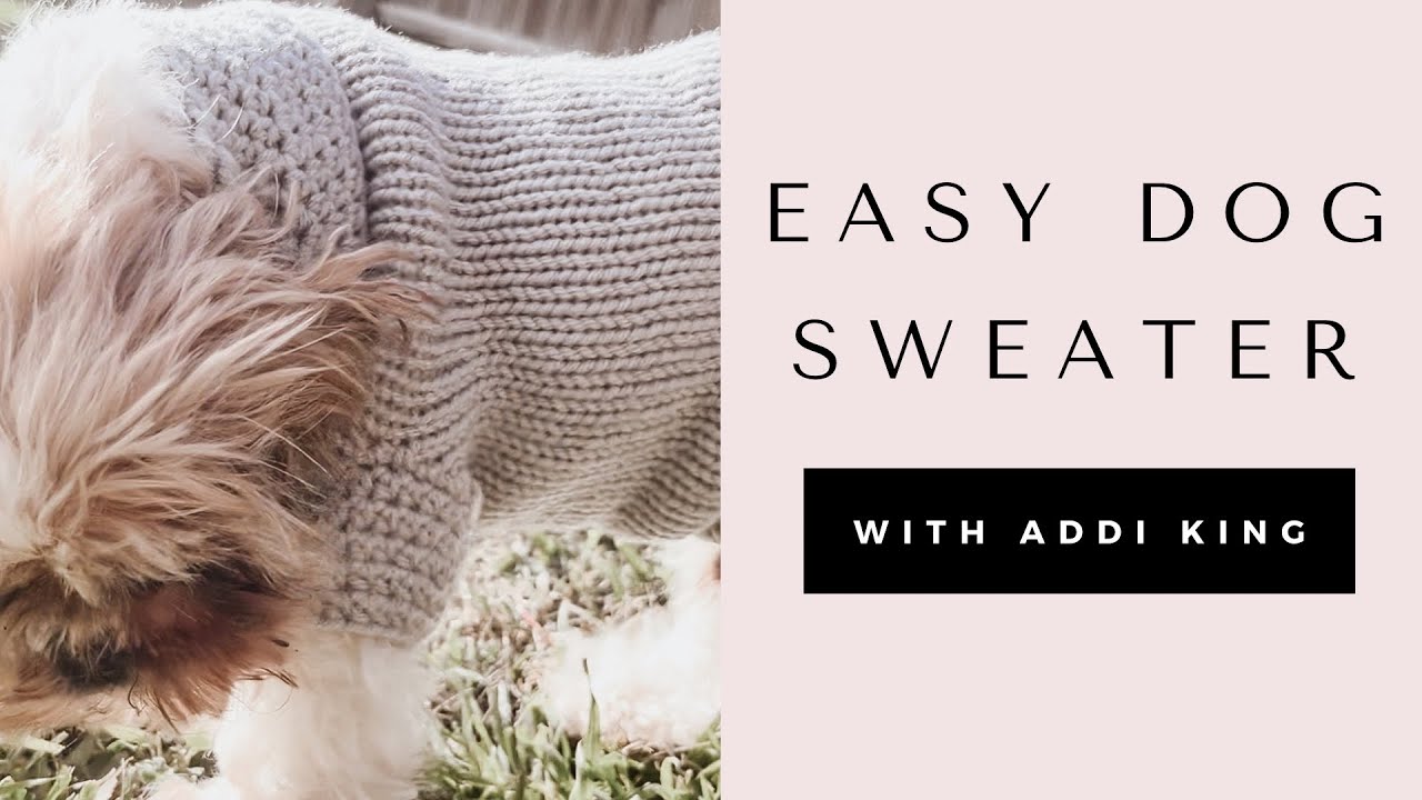I Made the World's Cutest Dog Sweater