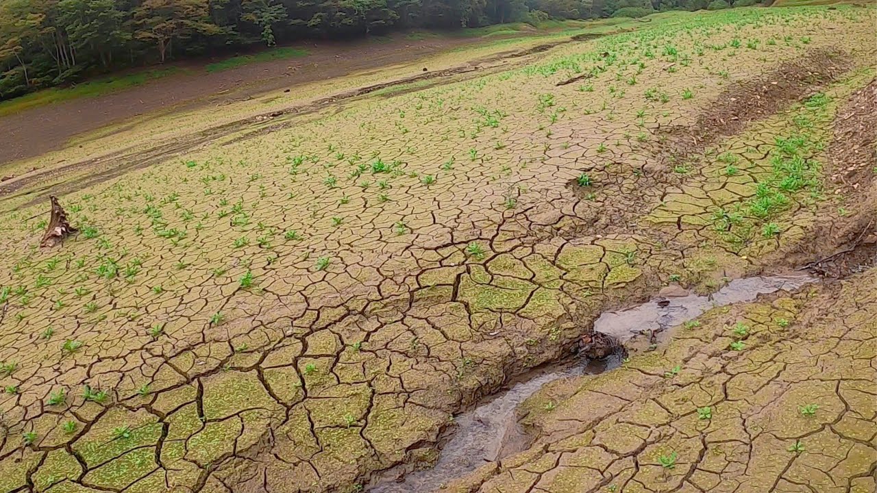 【水が枯れたダム】そこへ流れるチョロ沢に驚かされた‼︎