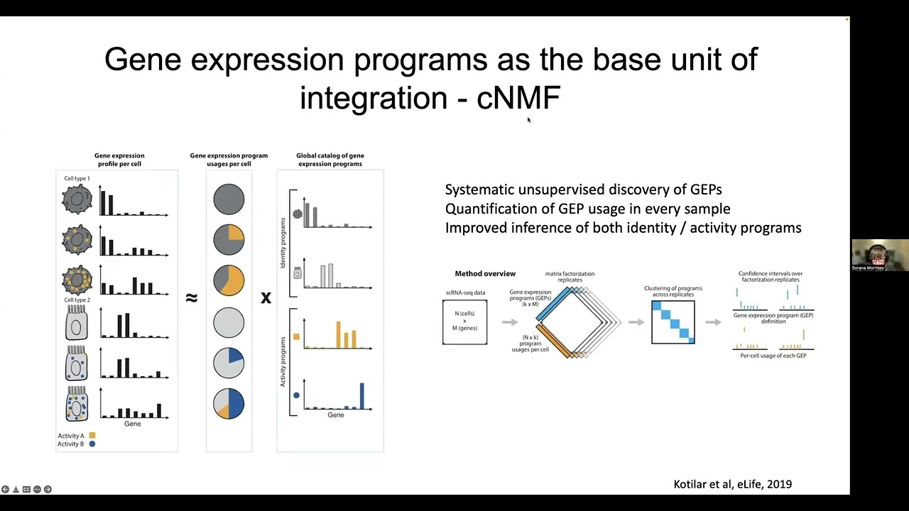 Sorana Morrissy - TorBUG Talk - Spatial profiling of the GBM tumor microenvironment