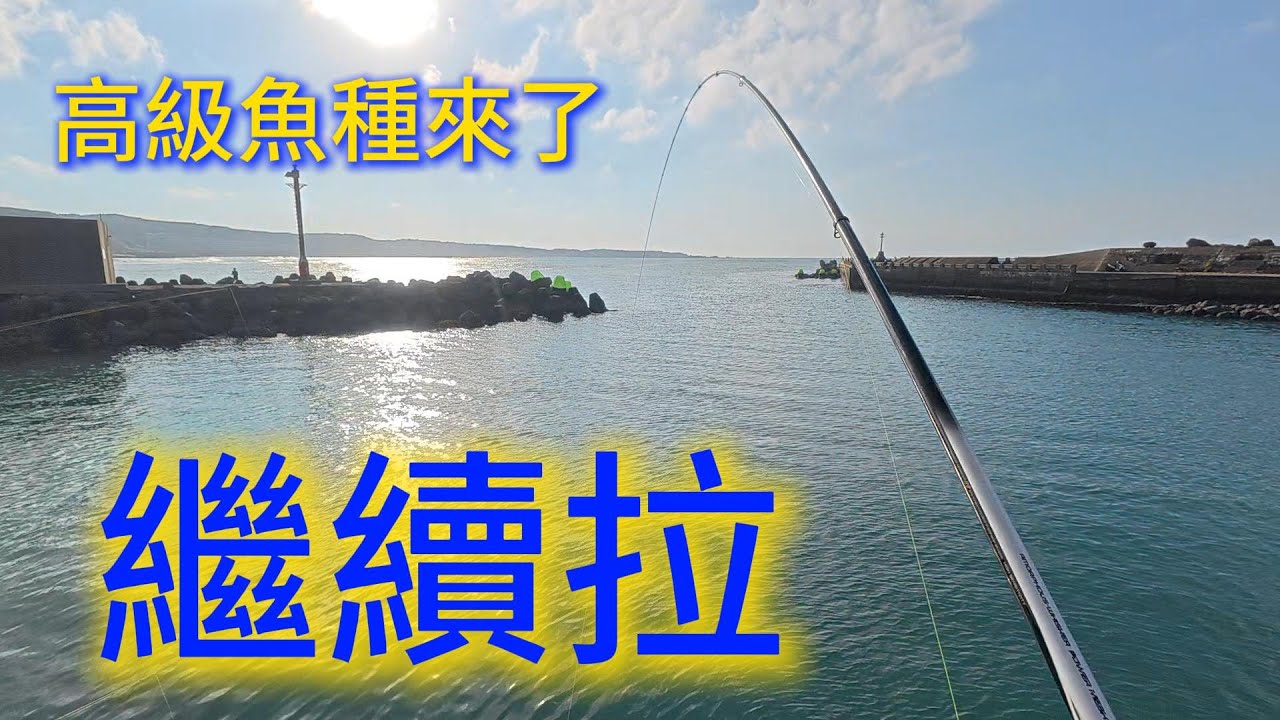 (釣魚)2025  高級魚種來了 繼續拉    新北市 三芝  石門 金山 北海岸 磯釣 淺水灣  海釣 釣魚 漁港 路邊磯 大咬 #fishing #360
