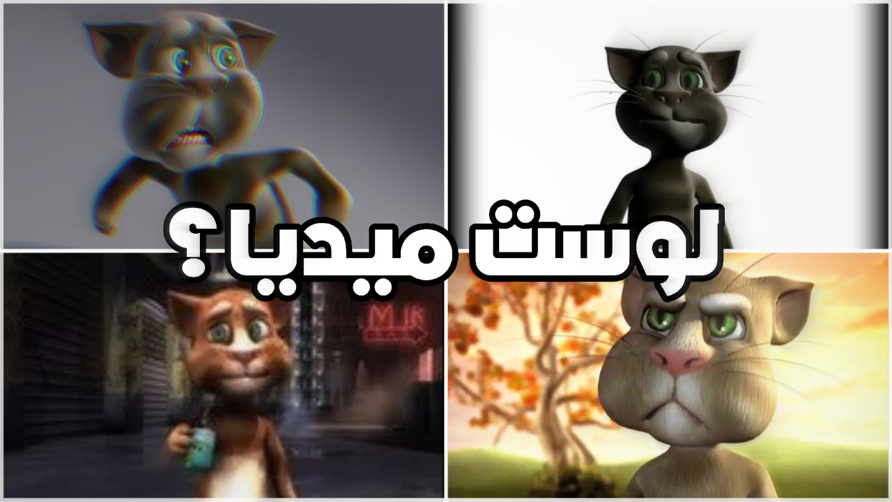 البحث عن موديل توم