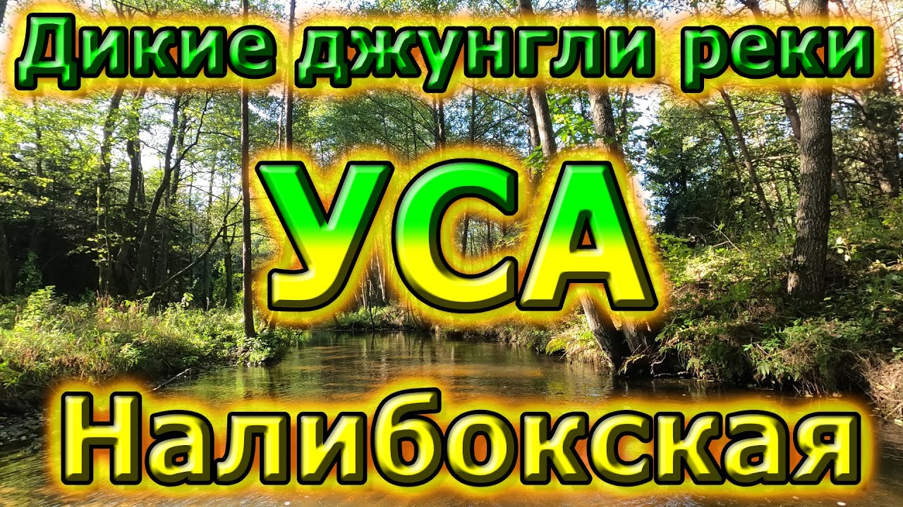 Уса Налибокская - Жёлто-Нёманский канал. Эпические приключения на реке от Дроздовщины до Нёмана.
