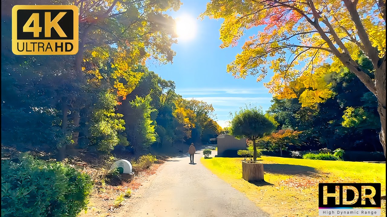 4K HDR Japan Walk - Shurakuen Park 2024 | Relaxing Natural City Ambience