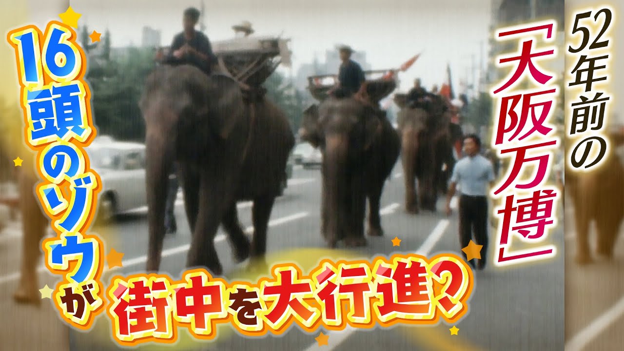 【ゾウが公道練り歩く？】「大阪万博」でゾウ１６頭が街中40kmを大行進「何でもありの昭和時代の万博だった」