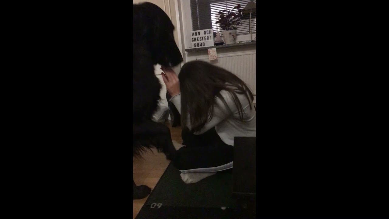 Två dagar med hunden Chester del 1