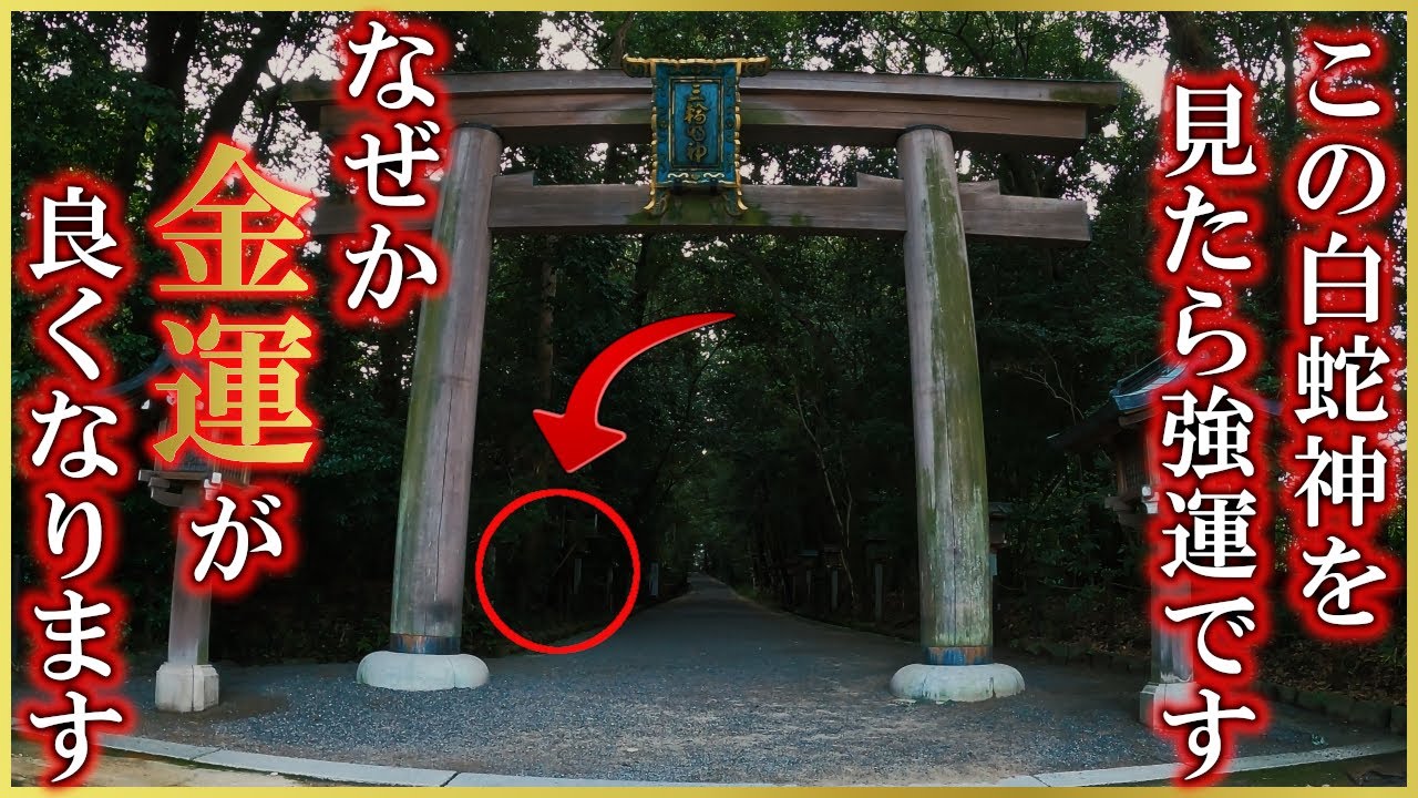 ⚠️金運アップ※突然現れた白蛇神様が見れた人なぜか金運が良くなります※数多くの成功者がお参りした神社参拝｜大神神社遠隔参拝250