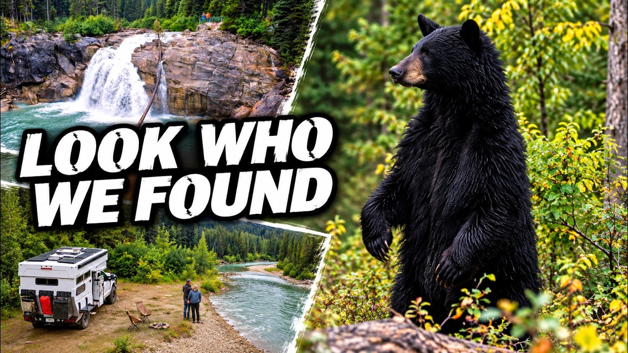 Roads, Remote Camps & Bears in British Columbia