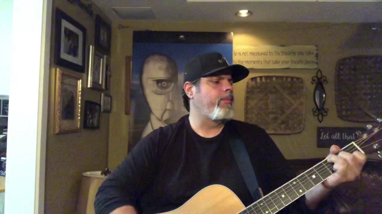 Pink Floyd - Pigs on the Wing 1 and 2 - Acoustic Cover