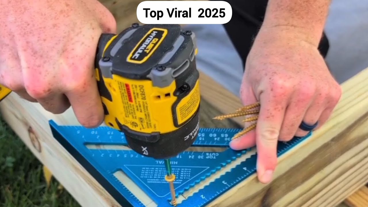 Top Viral Videos 2025