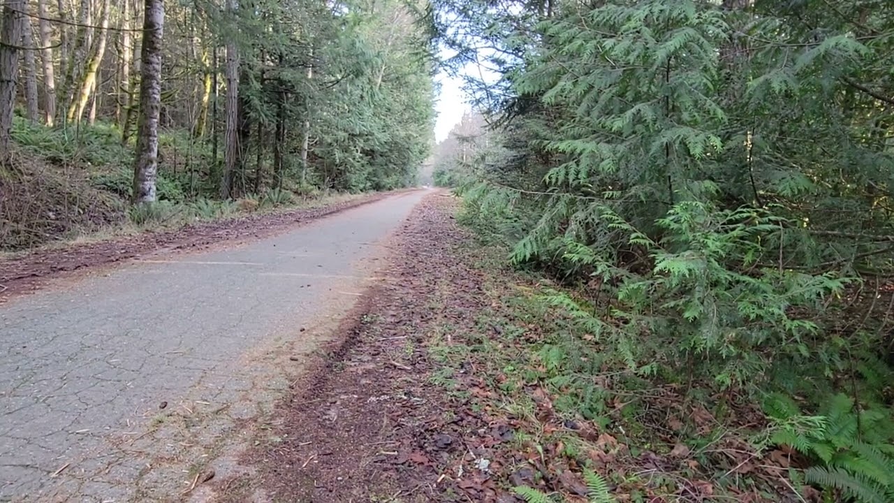 Kx100 speed test. 100km