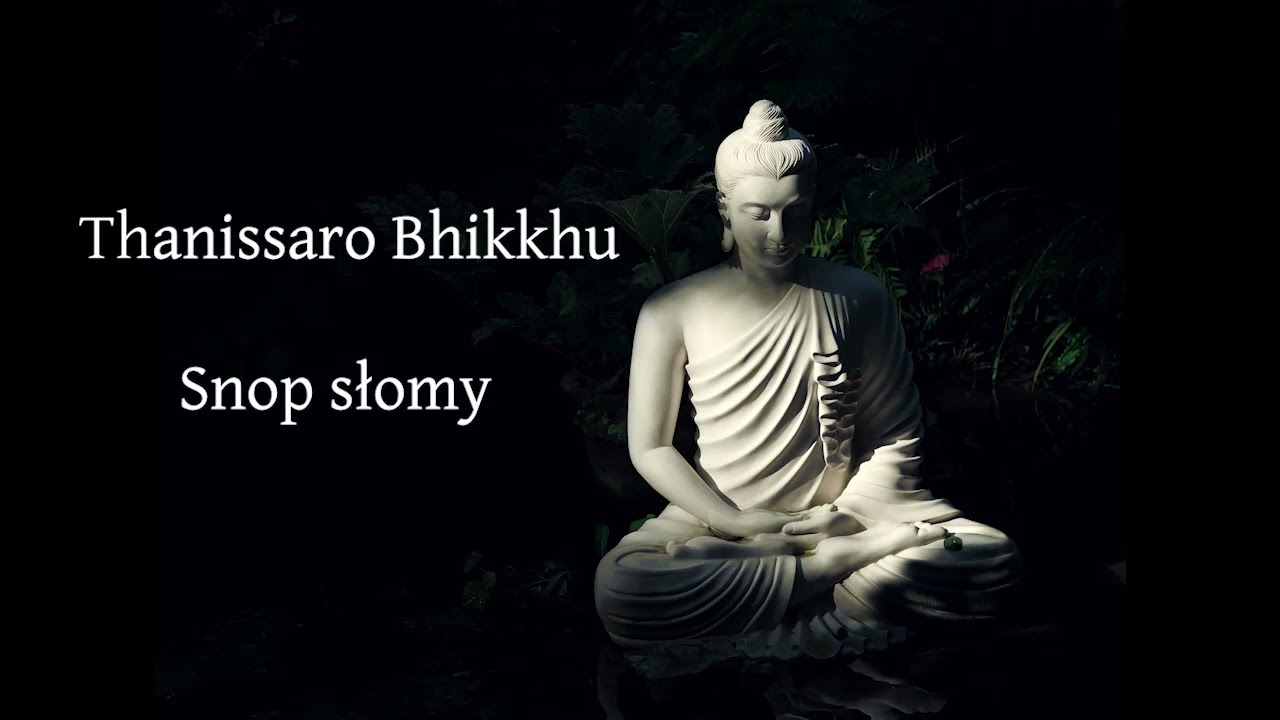 Snop słomy - Thanissaro Bhikkhu [LEKTOR PL]