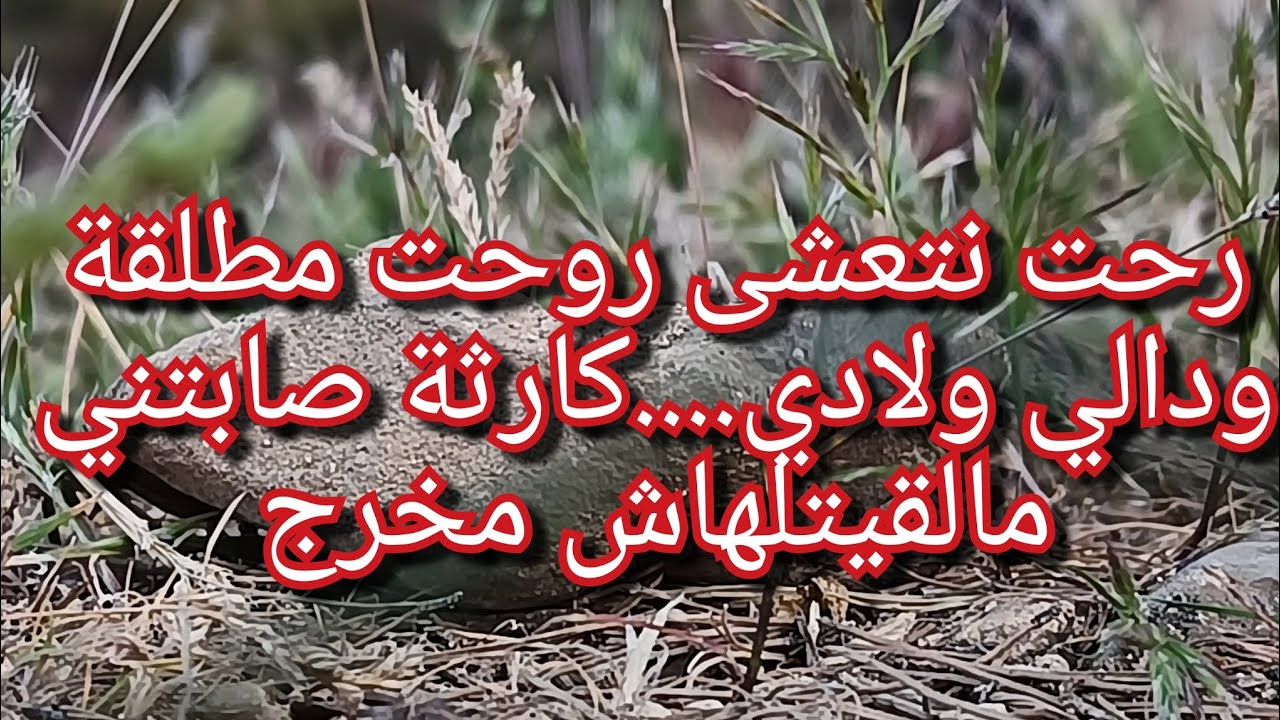 غلطة وحدة نهاتلي زواجي😭😭دمرني وخربلي عايلتي وزواجي💔رايو عليا قبل مايطلقني راني ضايعة😥