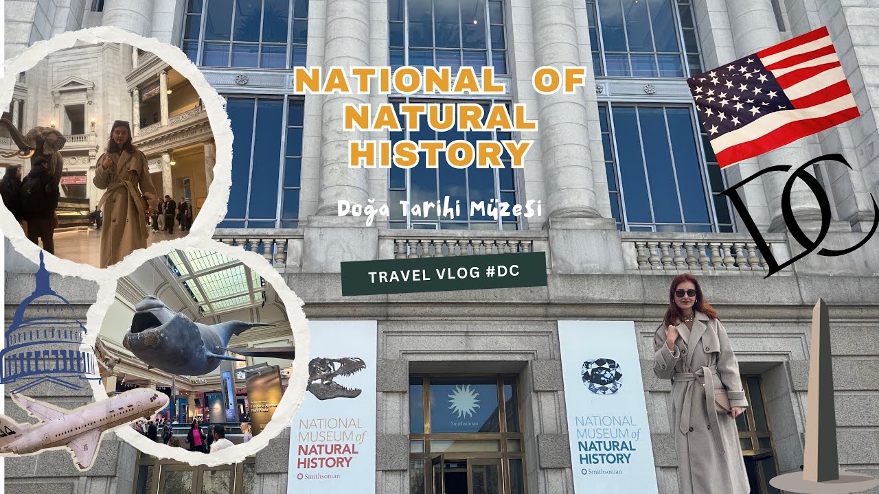 America 🇺🇸 | Washington D.C. | National Museum of Natural History | With English Subtitles