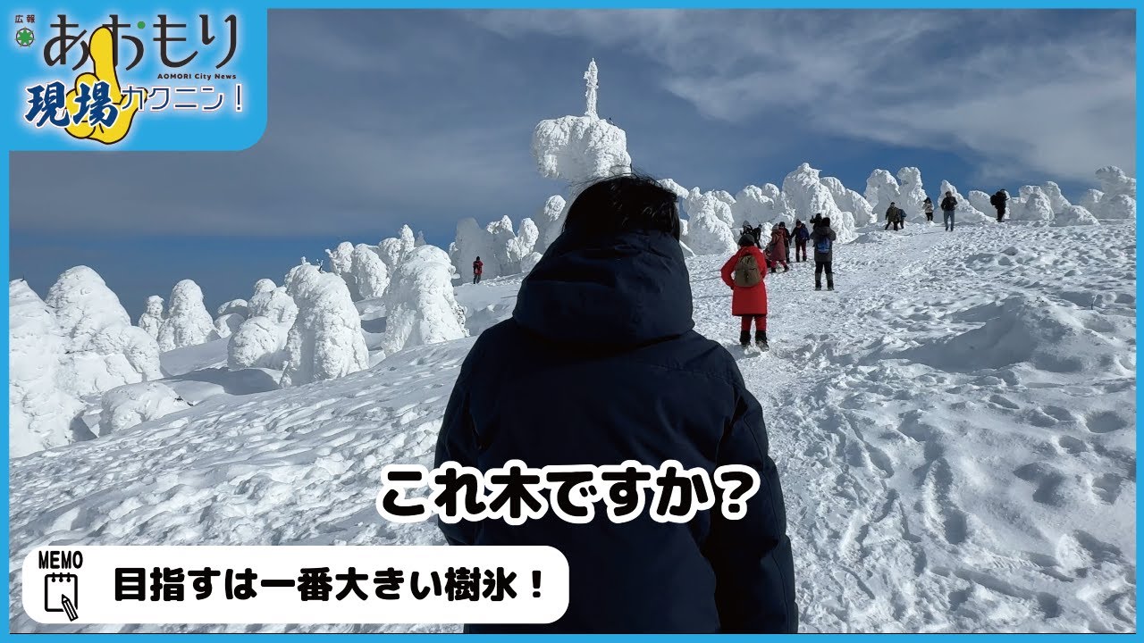 八甲田ロープウェーで樹氷を見に行った｜広報現場カクニン！R7.1月号