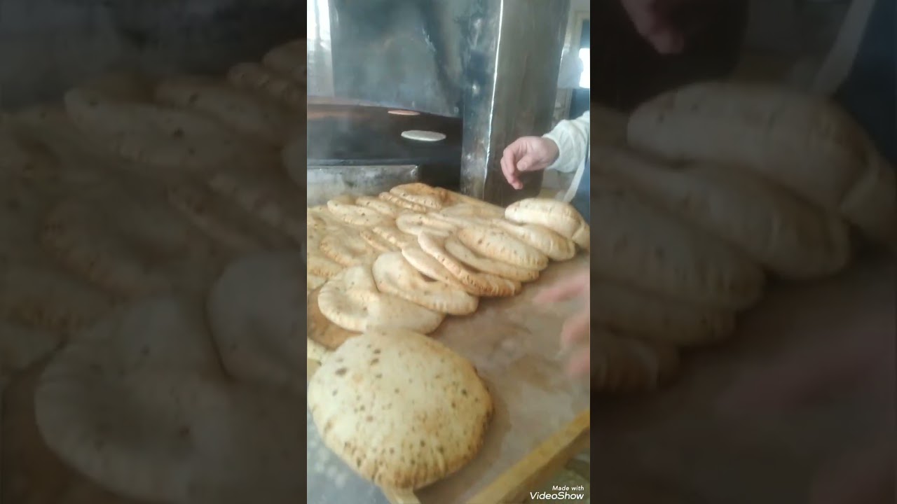 ١١ يناير ٢٠٢٦