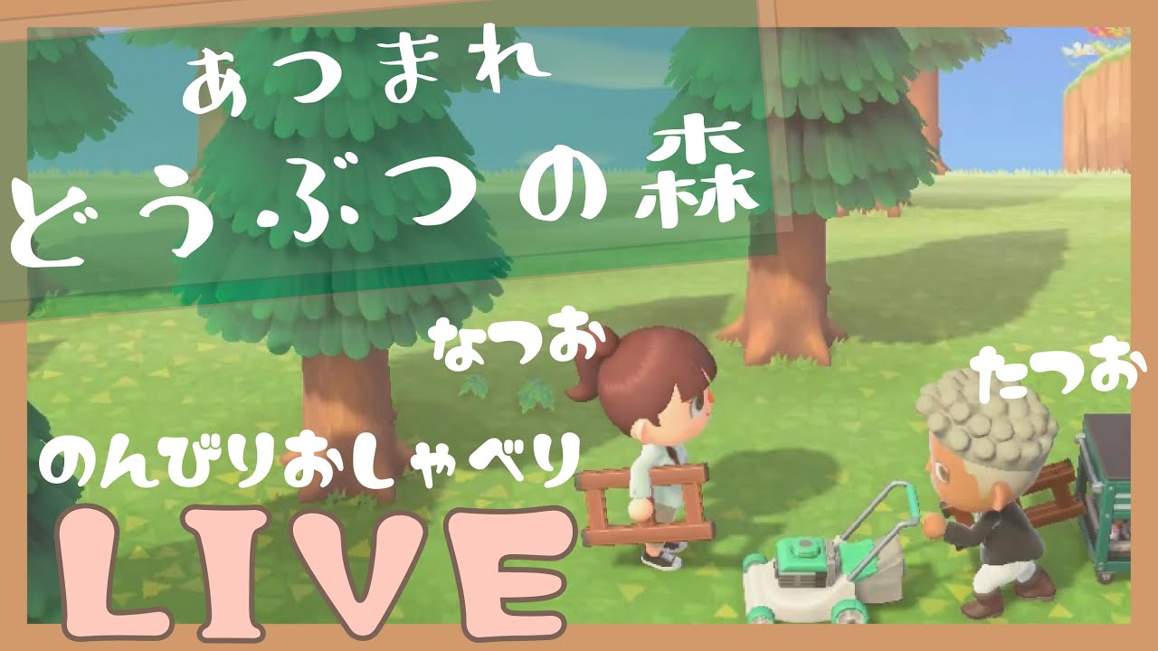 【あつ森】のんびり夫婦おしゃべり配信