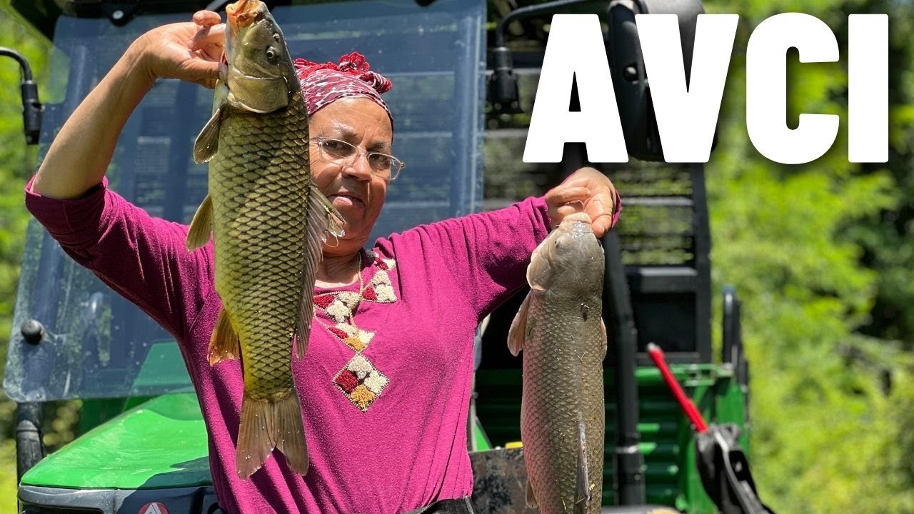 PATRON AVLANIYOR