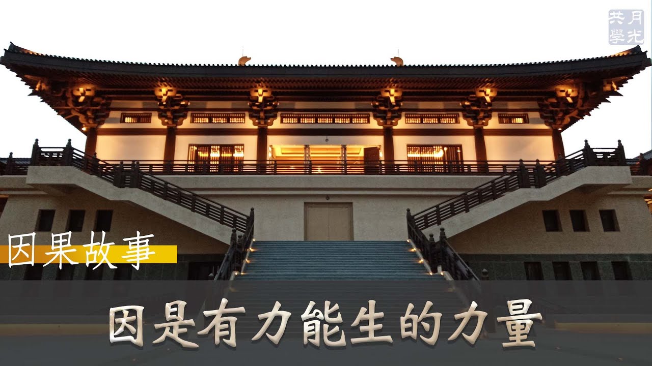【因果故事】因是有力能生的力量，強大到什麼程度？福智 如俊法師導讀
