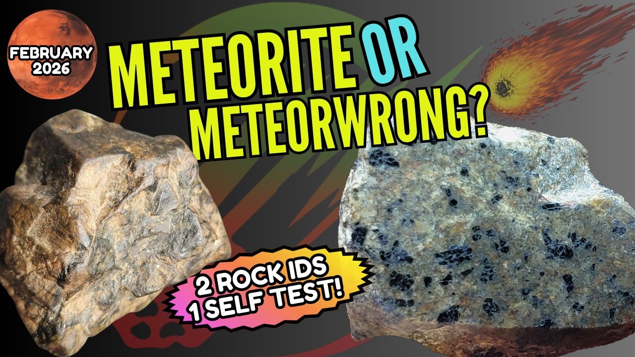 Is it from SPACE? TEST YOURSELF 👽 Meteorite or MeteorWRONG? ☄️ (2) Rock IDs - February 2026