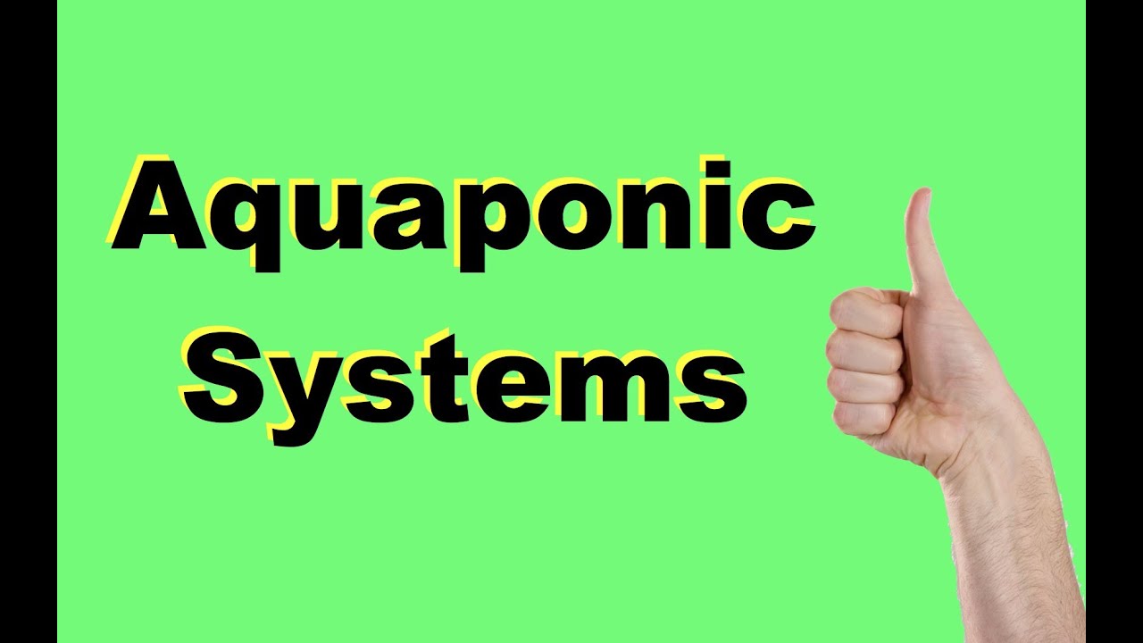 Aquaponic BioFilter 3 - Homemade Bio Filter For Aquaponic Systems