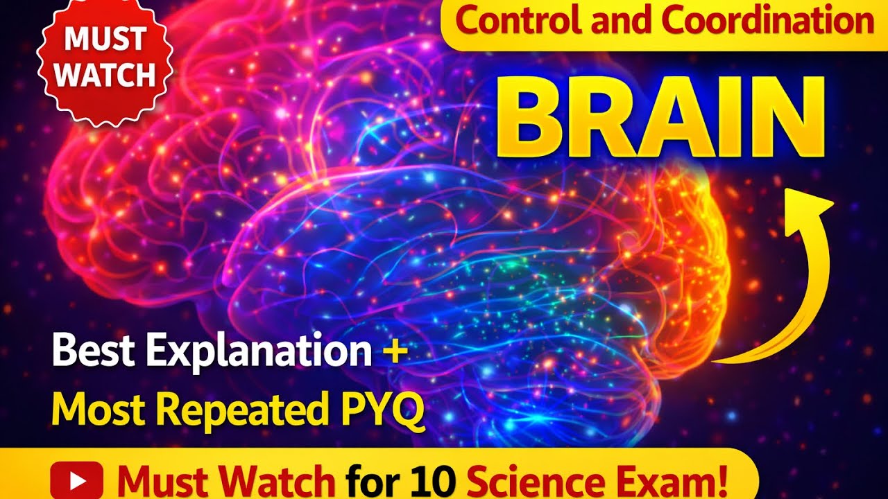 Brain One Shot Revision 🧠 | CNS, PNS, Forebrain, Midbrain, Hindbrain | Class 10 2025-26