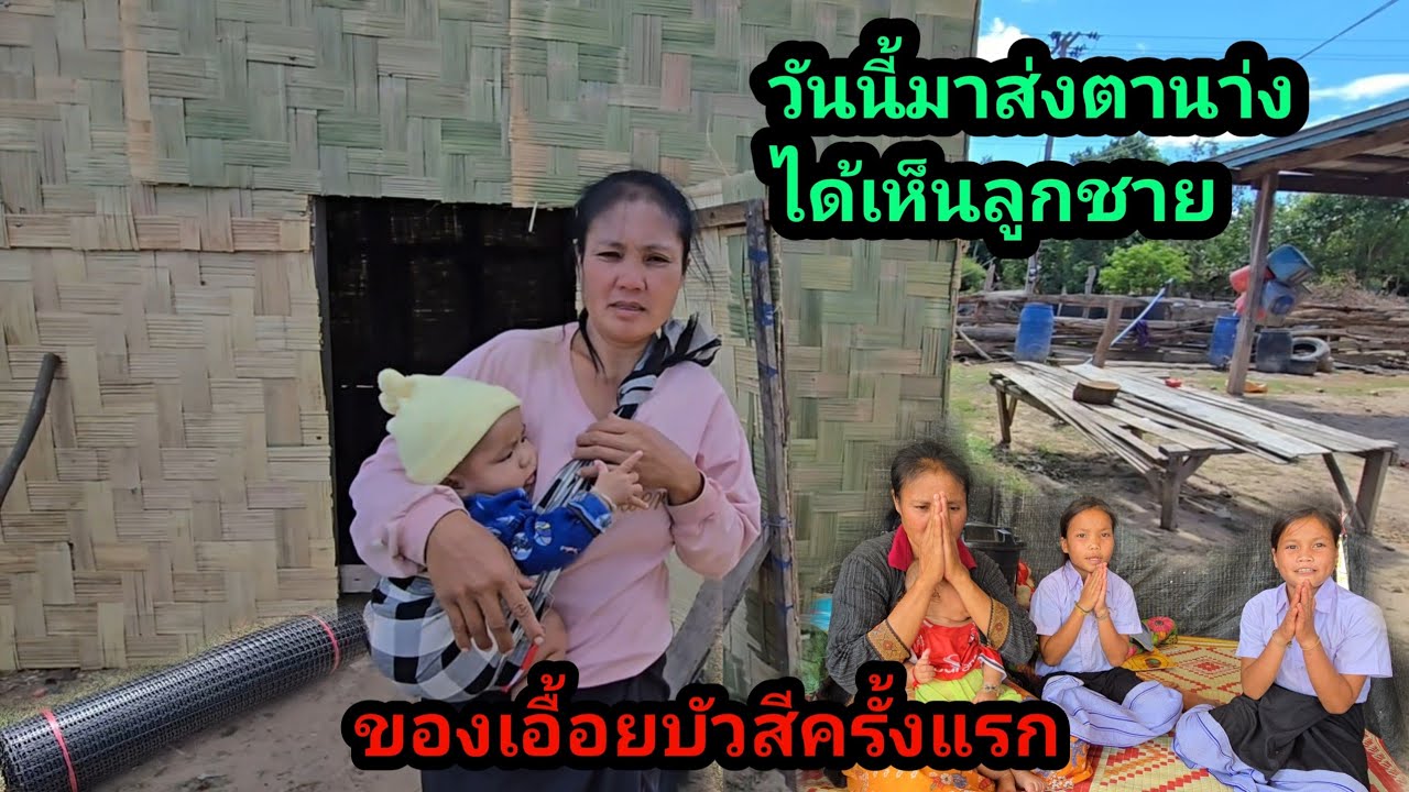 วันนี้ซื้อตานางมาให้ ครอบครัวเอื้อยบัวสี ขอบคุณพี่ดวงตะวัน จากประเทศไทยช่วยเหลือ