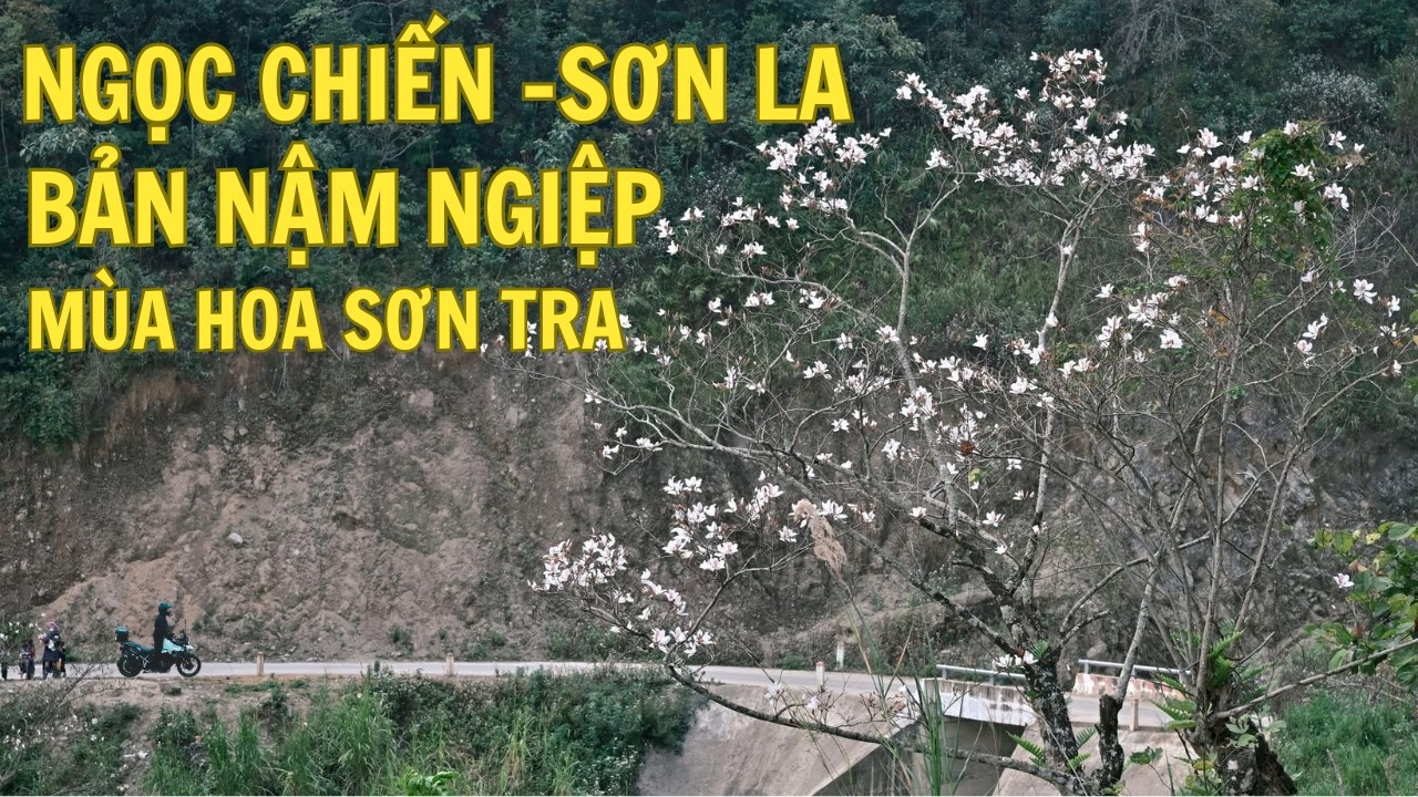 Phượt Ngọc Chiến - Bản Nậm Nghiệp M&ugrave;a Hoa Sơn Tra Đẹp Nhất T&acirc;y Bắc Phần 1
