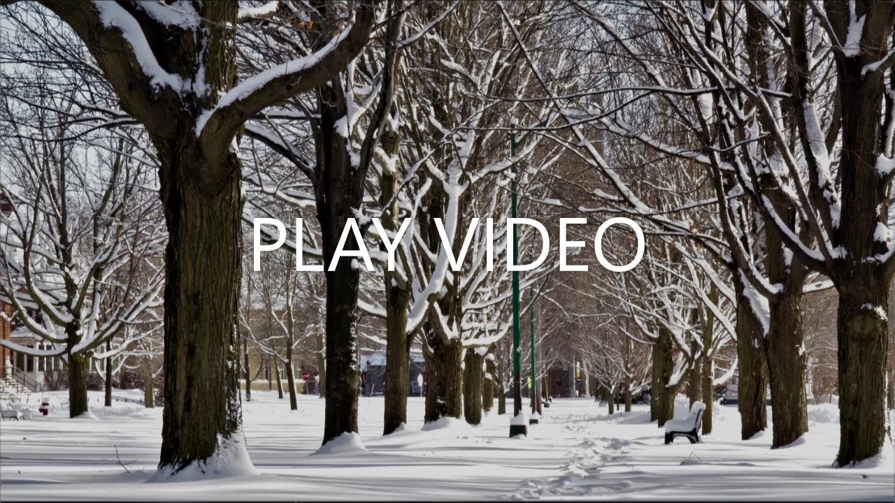 Malone New York Winter