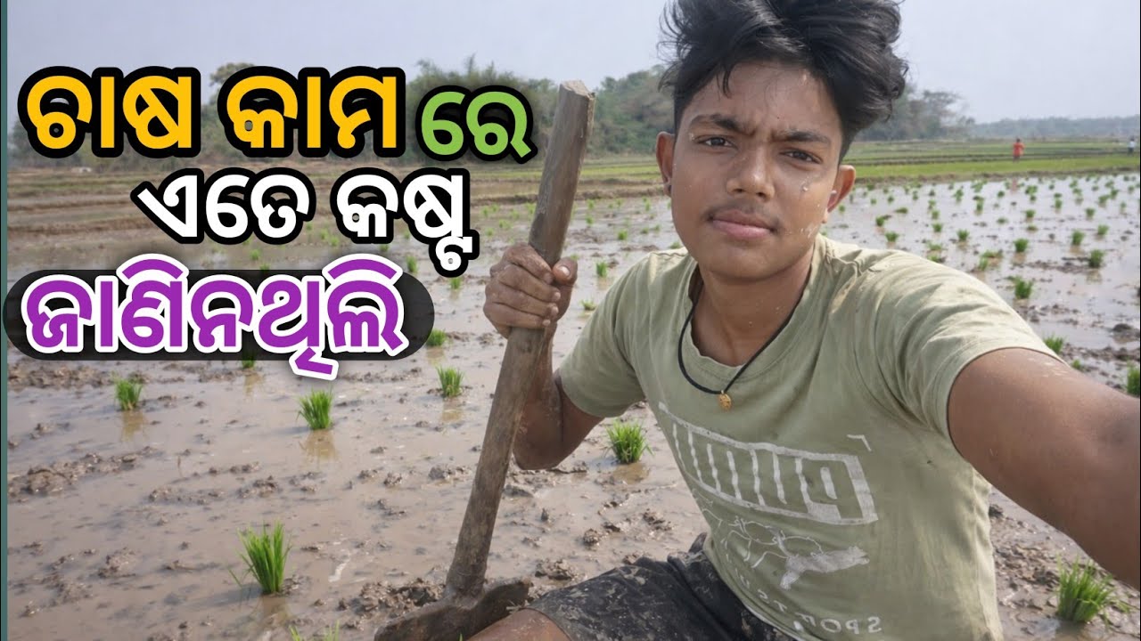 ଚାଷ କାମ ଏତେ କଷ୍ଟ ଜାଣିନଥିଲି 😱 || Caso Kamo Ate Kosto || #006 #vlogging #pankajdailyvlog 