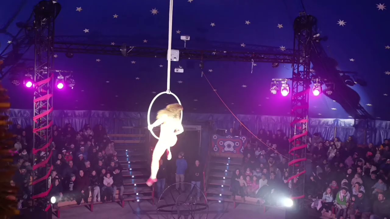 Aerial hoop Big Lady Circus.    www.bigladycircus.com
