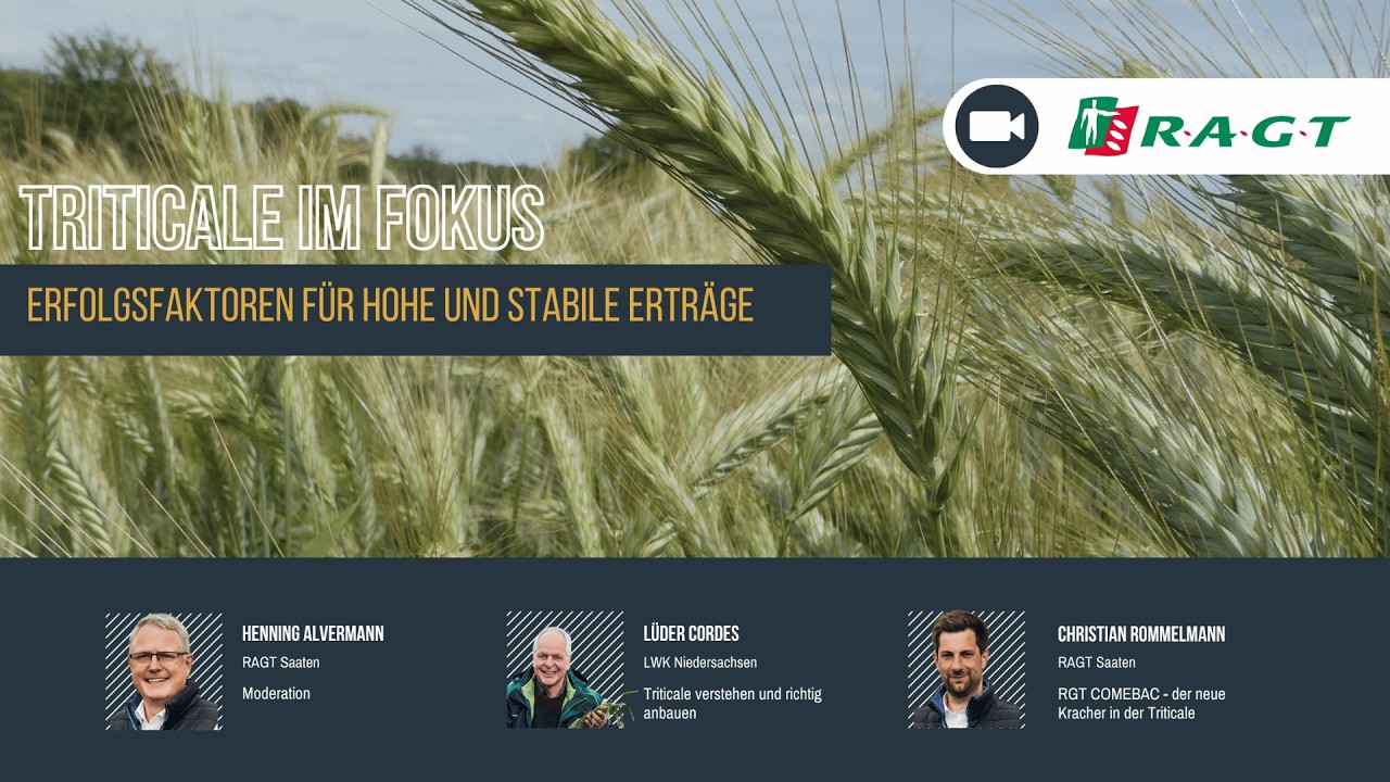 Webinar: Triticale im Fokus - Erfolgsfaktoren für hohe und stabile Erträge