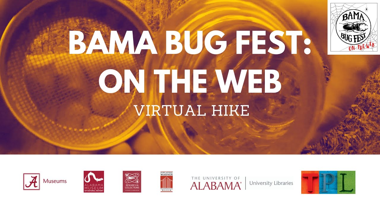 Bama Bug Fest: On the Web - Virtual  Hike