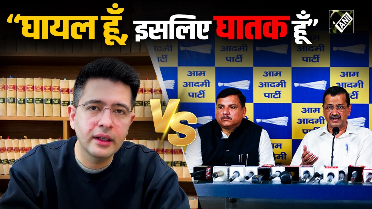 AAP MP Raghav Chadha channels inner &lsquo;Dhurandhar&rsquo;, denies allegations over RS Deputy Leader removal