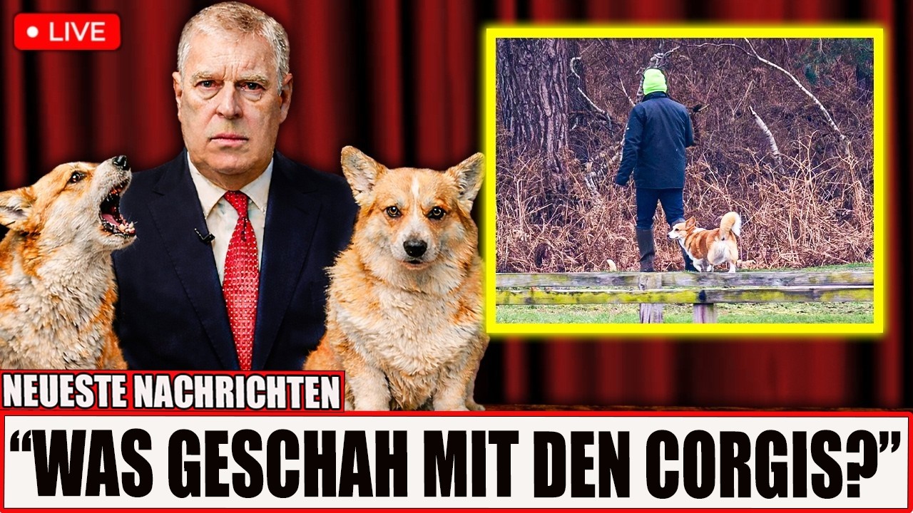 Die Wahrheit über Queen Elizabeths Corgis – Was Andrew ihnen angetan hat, ist herzzerreißend