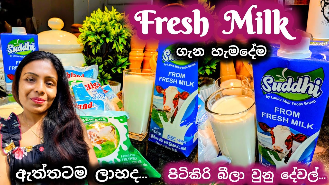 Fresh Milk ගැන මේ දේවල් දැනගෙනම බොන්න🌼කල් තියාගන්න හරි ලේසියි🌼Freshmilk Tips🌼Milk recipes🌼