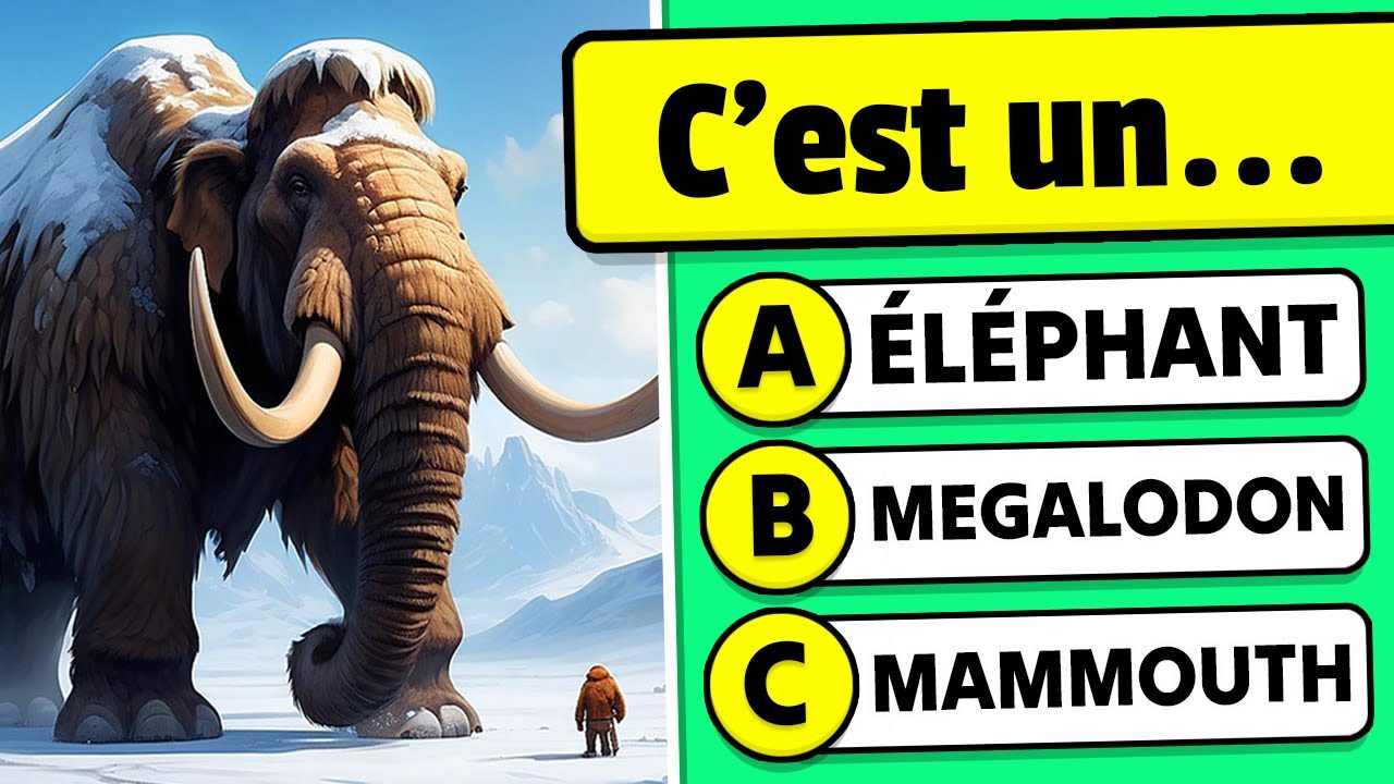 🦴 Connais-tu la PRÉHISTOIRE...? 50 Questions de CULTURE GÉNÉRALE 🍖✅