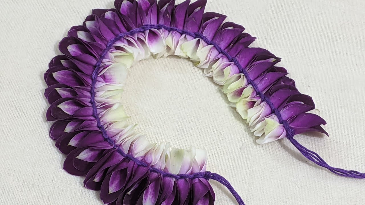 Orchid Petal Veni