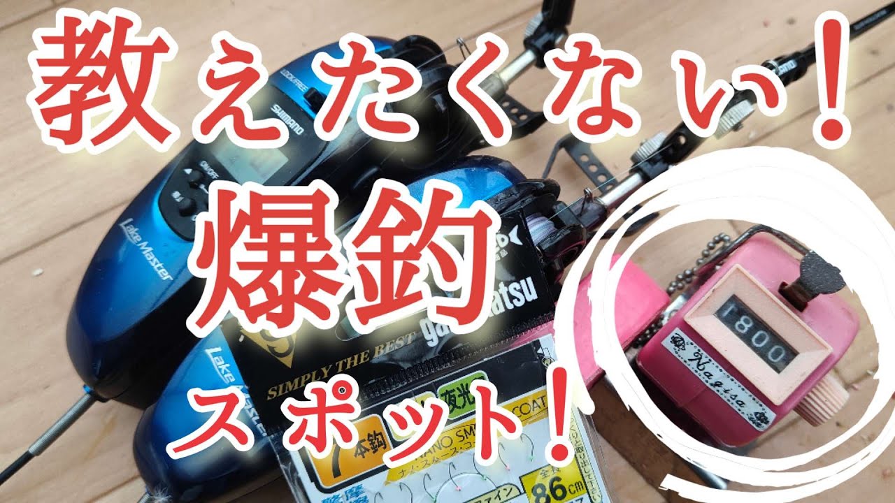 【ワカサギ釣り】㊙の爆釣スポット！爆釣になるタイミングは？条件は？【精進湖】