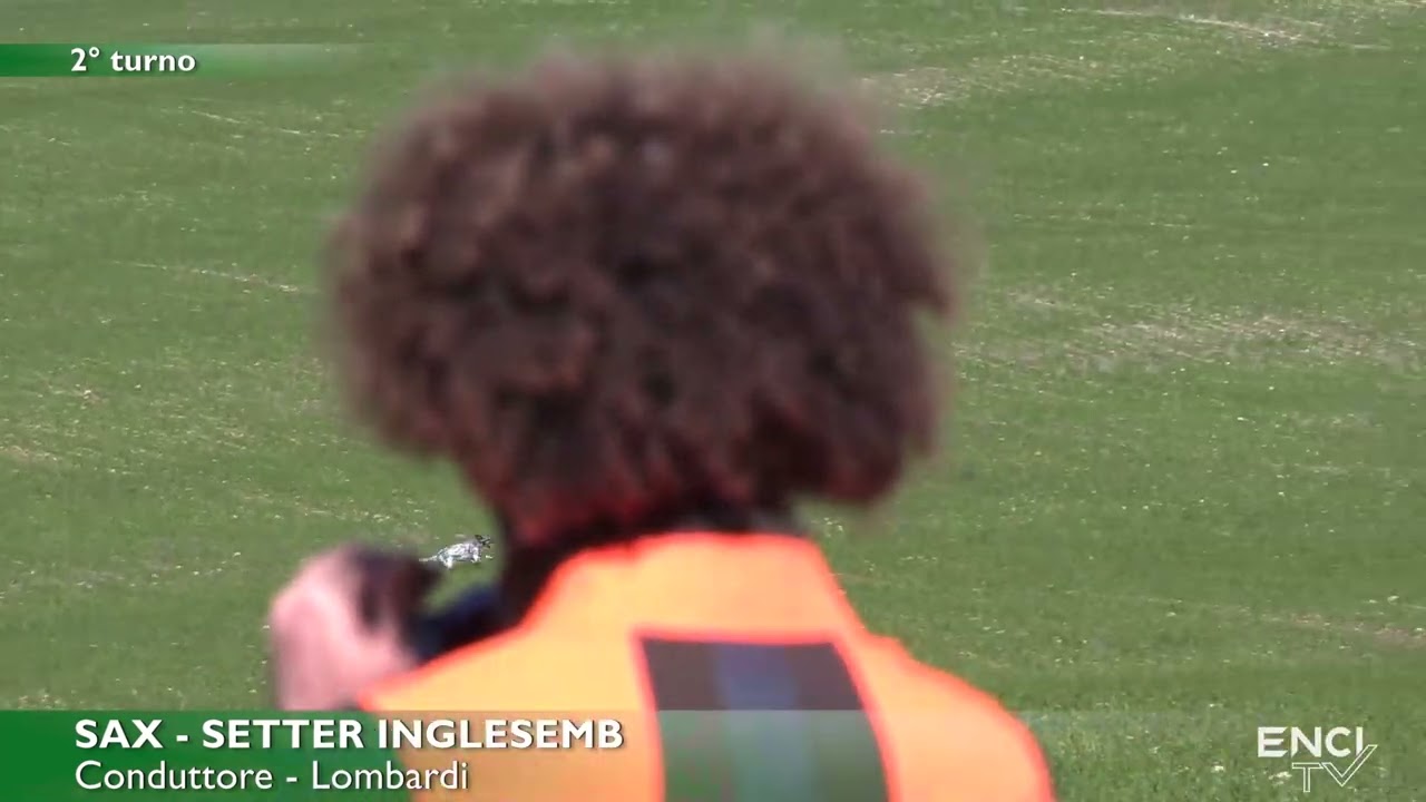 ALTAMURA 2026 - GRANDE CERCA - BATTERIA 6 DEL 26 FEBBRAIO