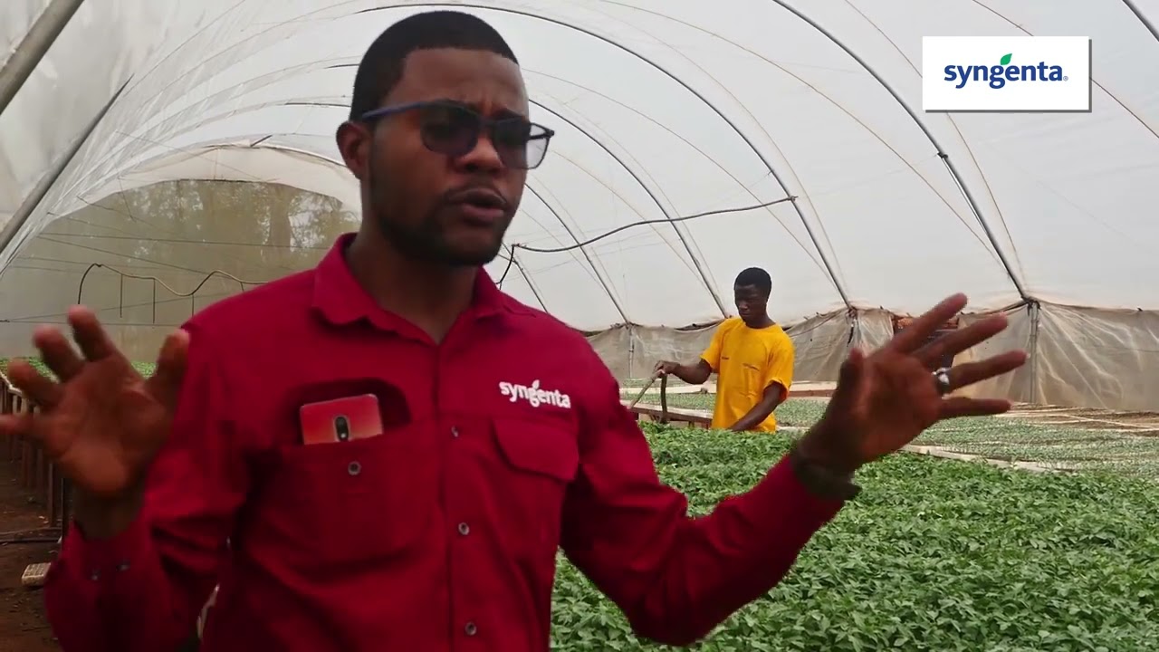 Know your seedling suppliers